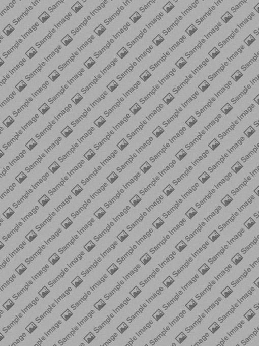 Customize Your Menu with the Menu Editor